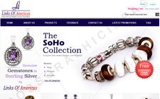 Links of America Website Design Jaipur