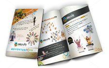 Brochure Design Jaipur